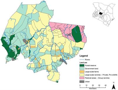 Twenty years of lion conservation in a commercial rangeland